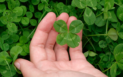 Why Should I Care About St. Patrick’s Day?