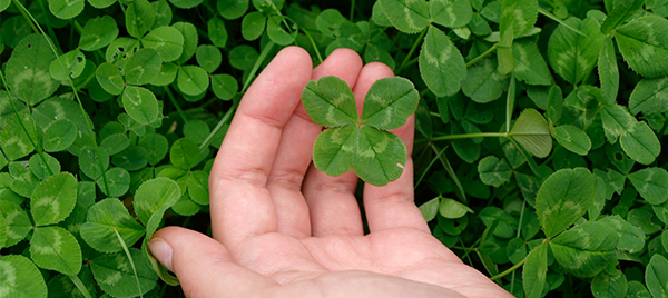 Why Should I Care About St. Patrick’s Day?