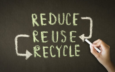 Preserving the Planet: One Token at a Time