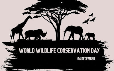 Wildlife Conservation Day: Protecting Animals and Their Homes