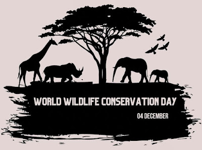 Wildlife Conservation Day: Protecting Animals and Their Homes