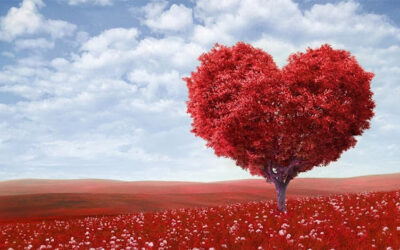 Valentines Day: A Special Day to Celebrate Love and Friendship