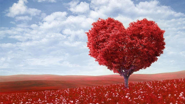 Valentines Day: A Special Day to Celebrate Love and Friendship